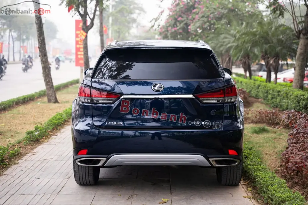 Hình ảnh số 5