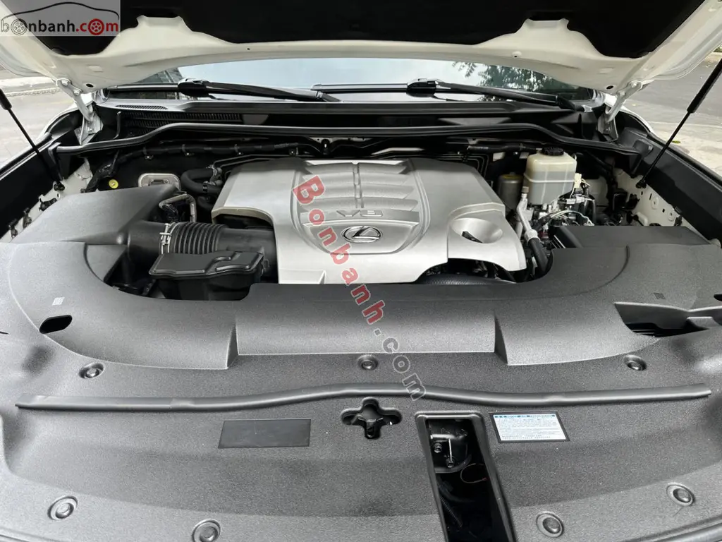 Hình ảnh số 10