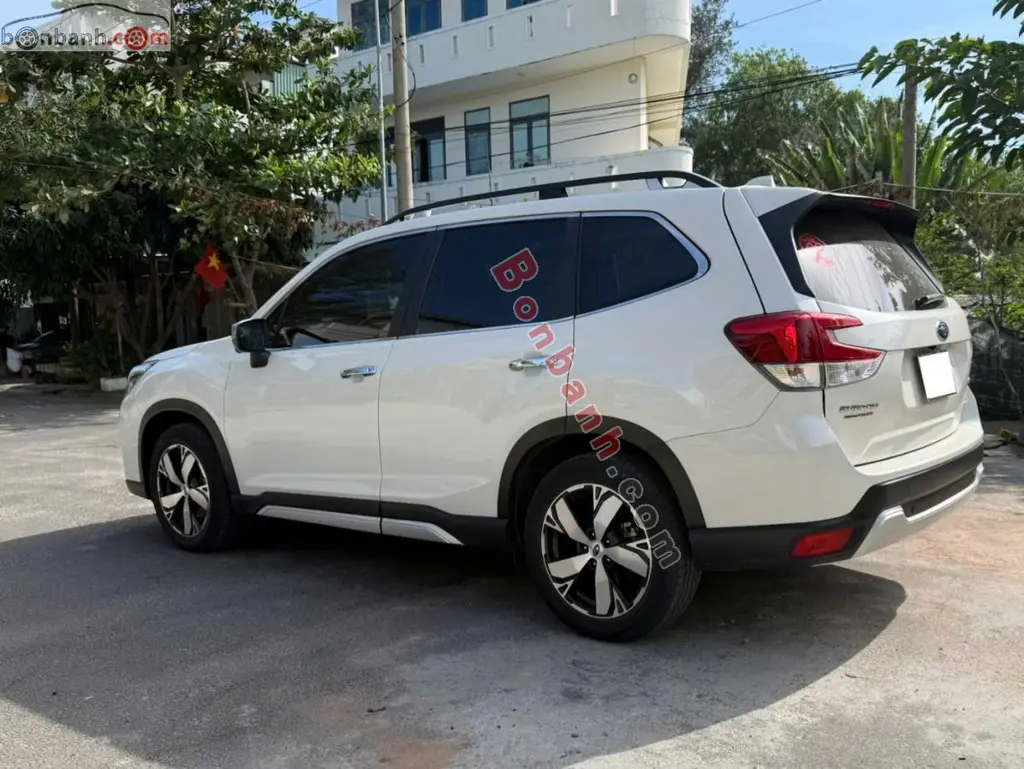 Hình ảnh số 3