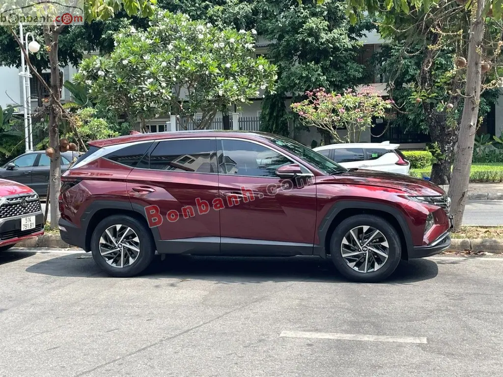 Hình ảnh số 2