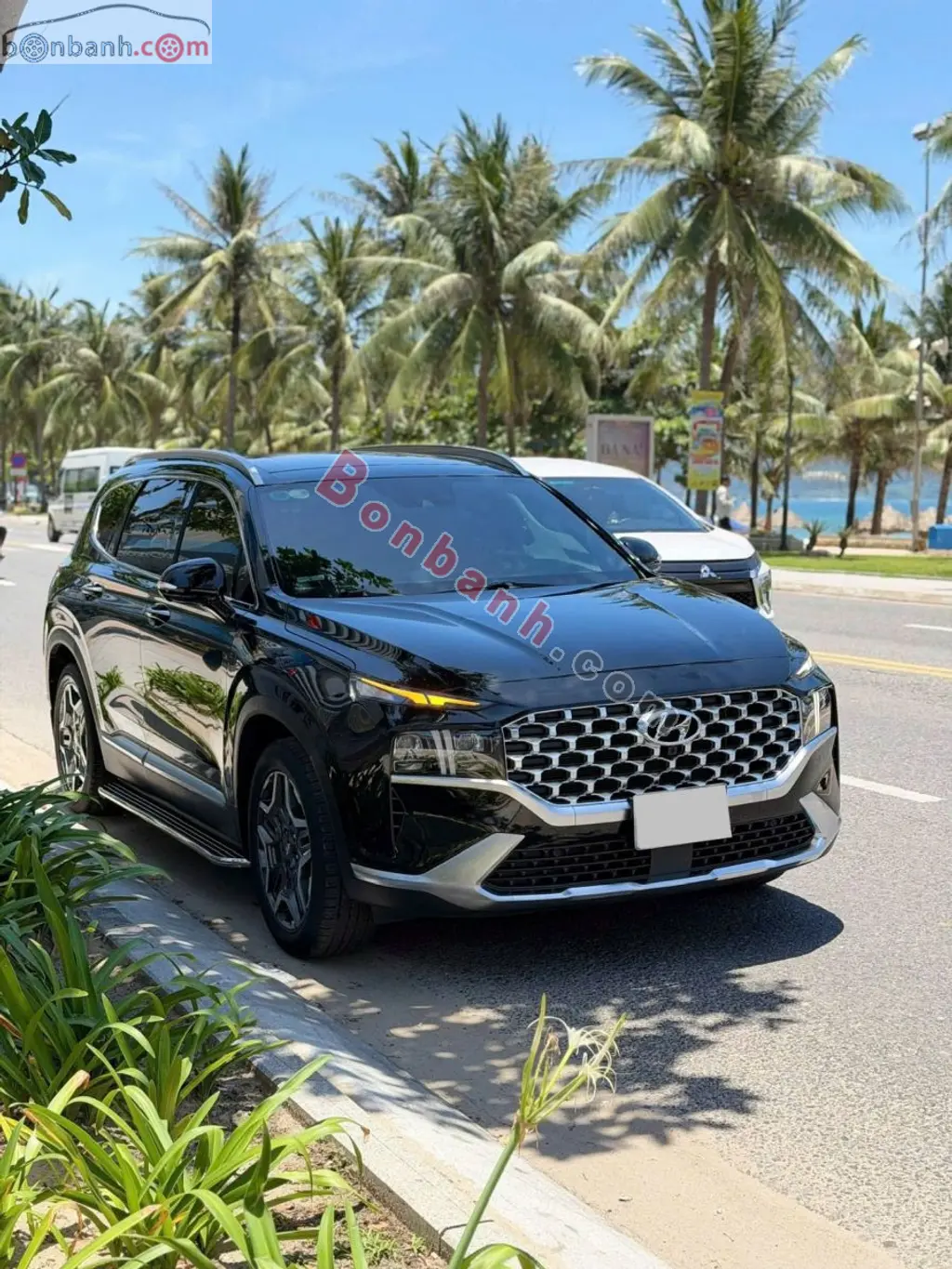 Hình ảnh số 2