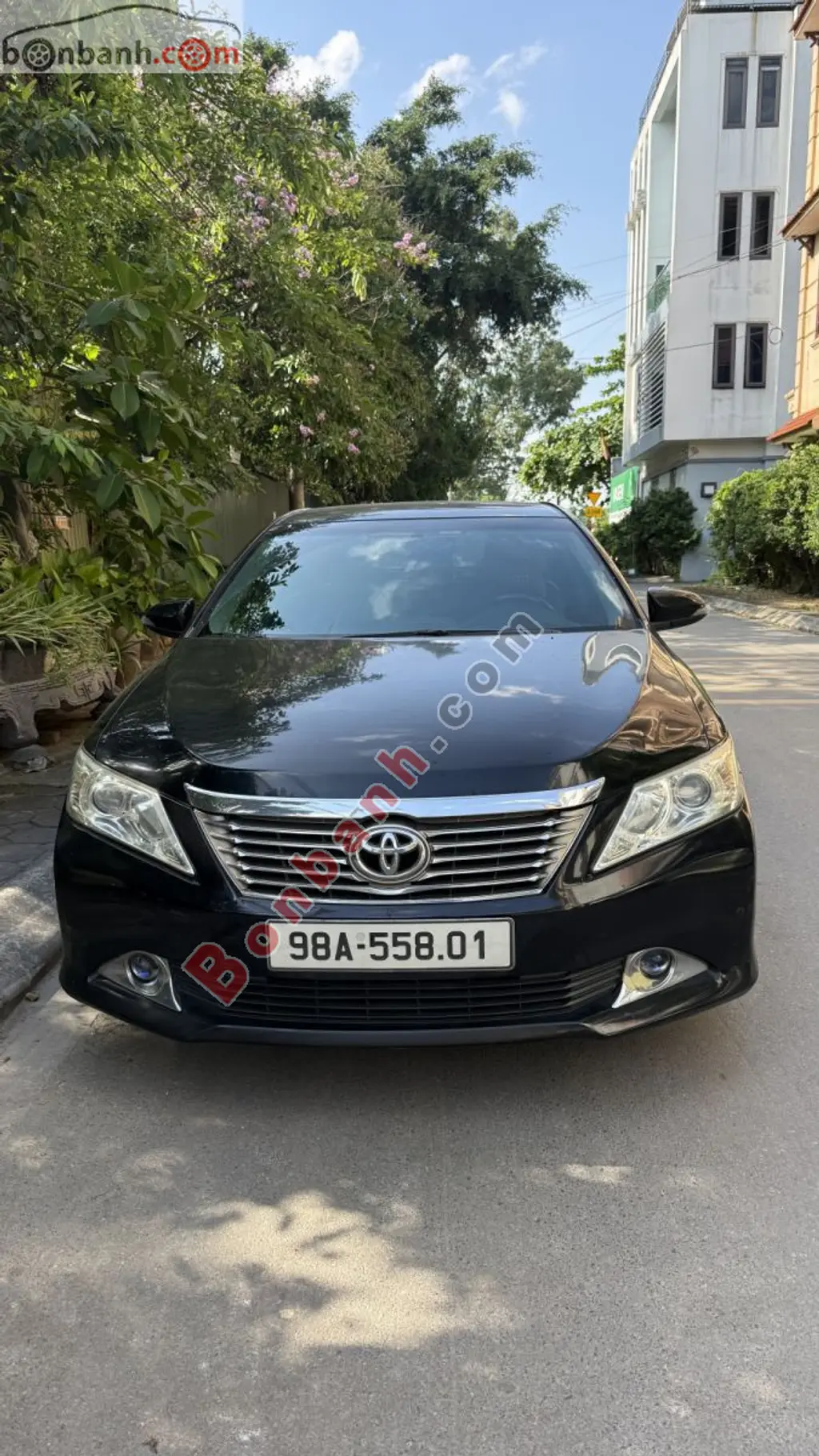 Hình ảnh số 2