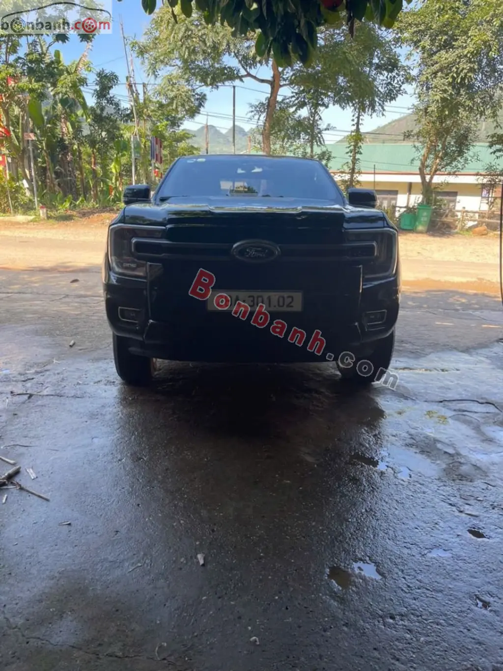 Hình ảnh số 2
