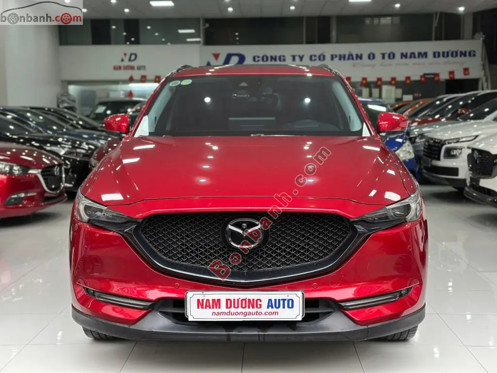 Hình ảnh số 2