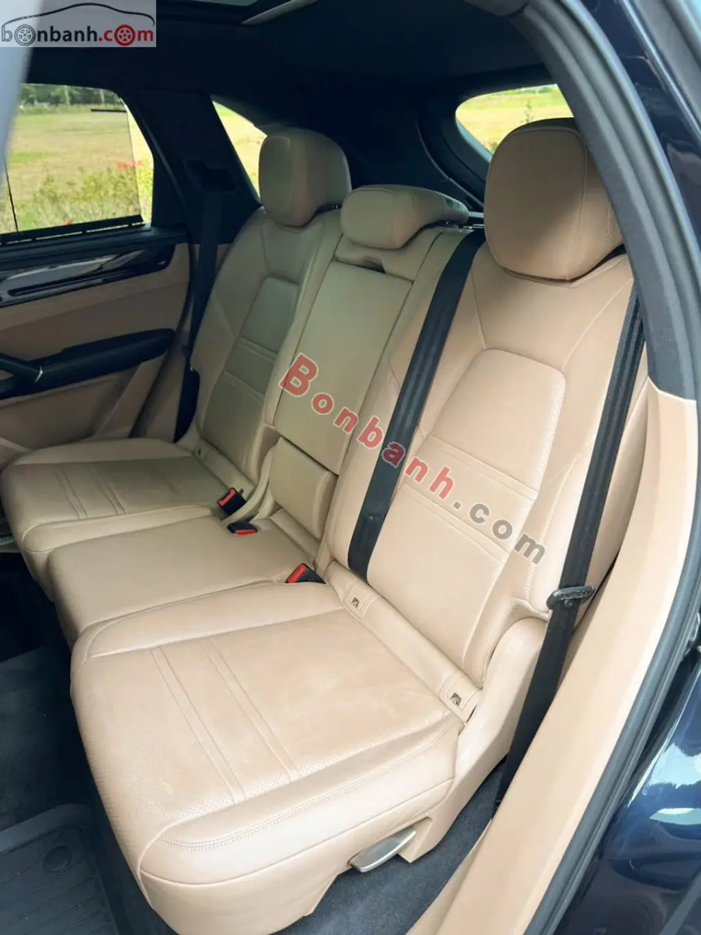Hình ảnh số 10