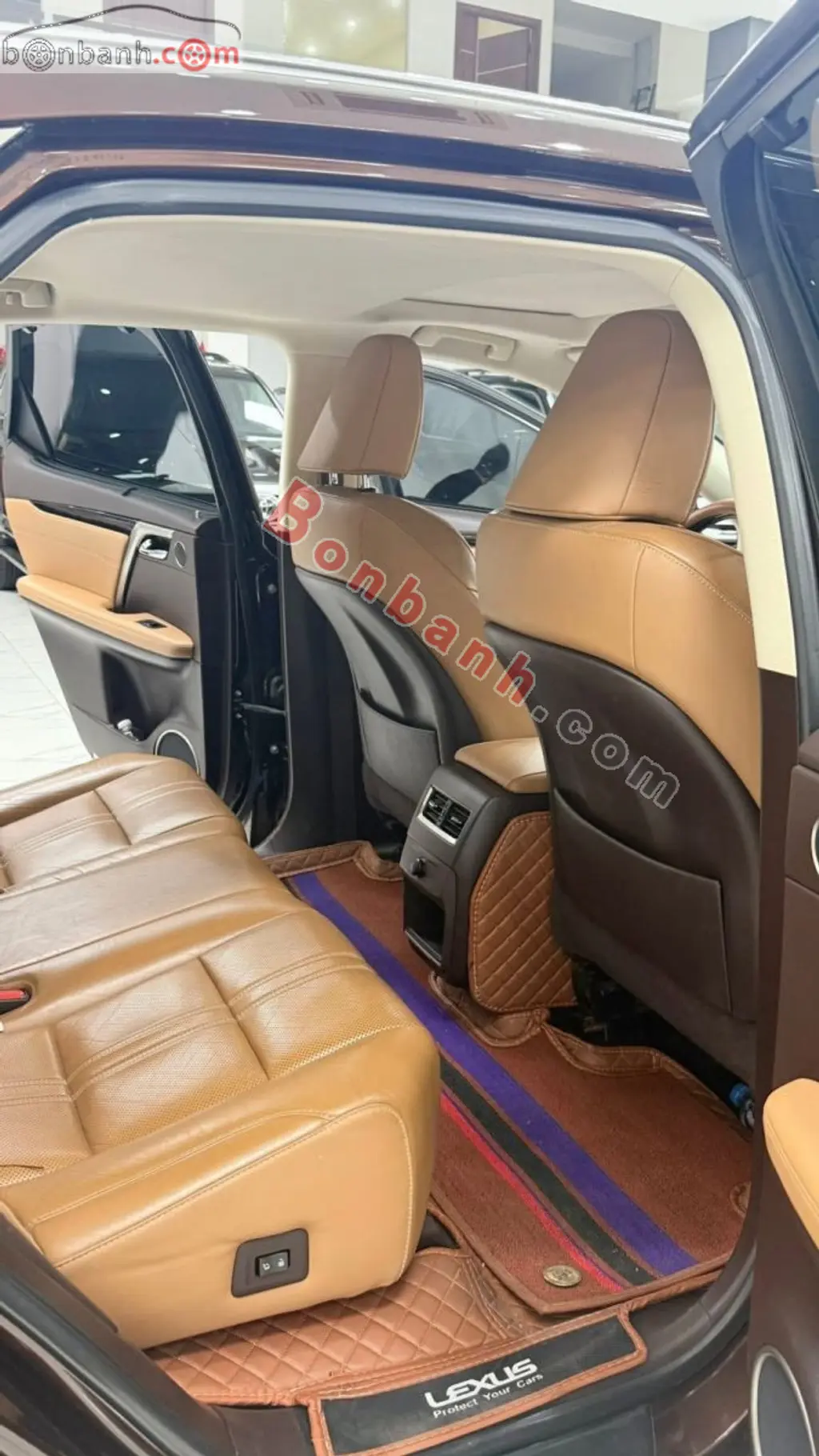 Hình ảnh số 10