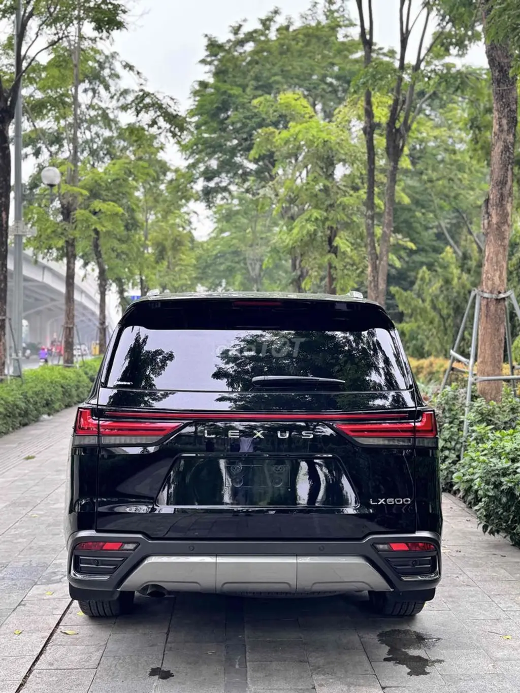 Hình ảnh số 3