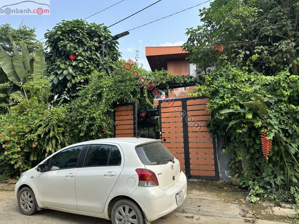 Hình ảnh số 2