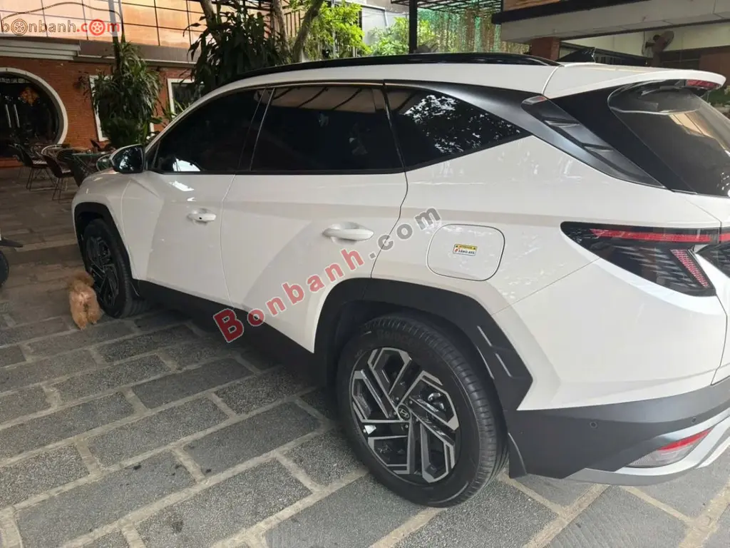 Hình ảnh số 5