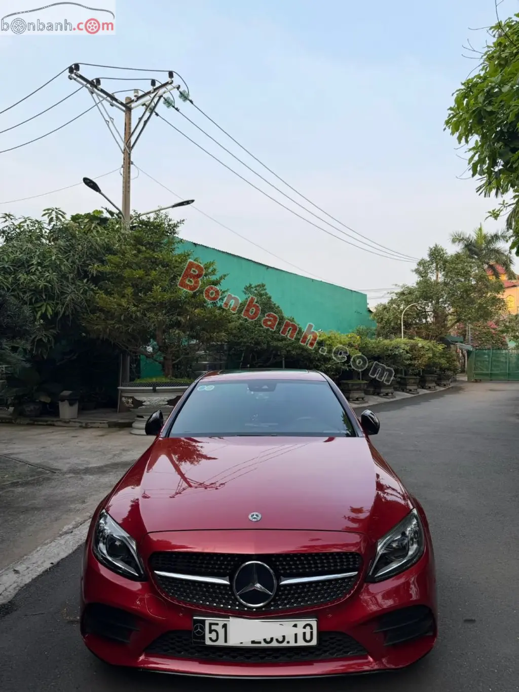 Hình ảnh số 2