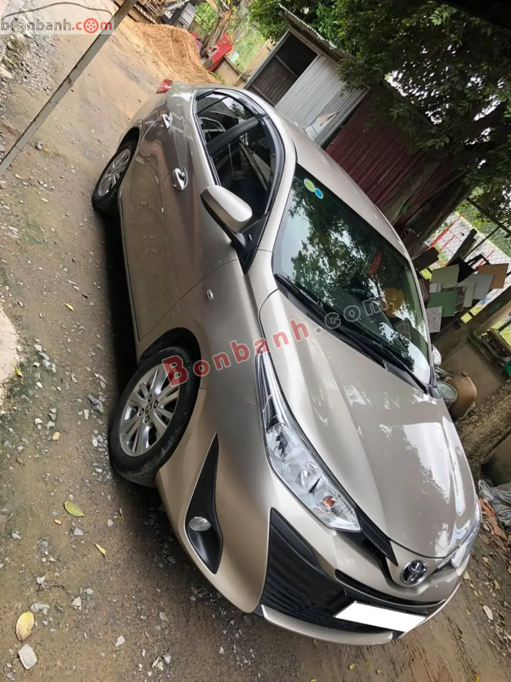 Hình ảnh số 2