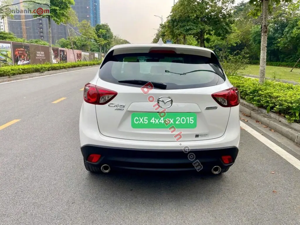 Hình ảnh số 2