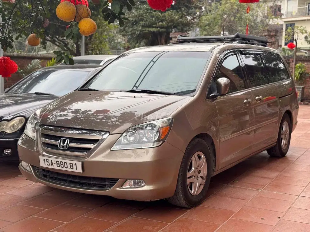 Hình ảnh số 4