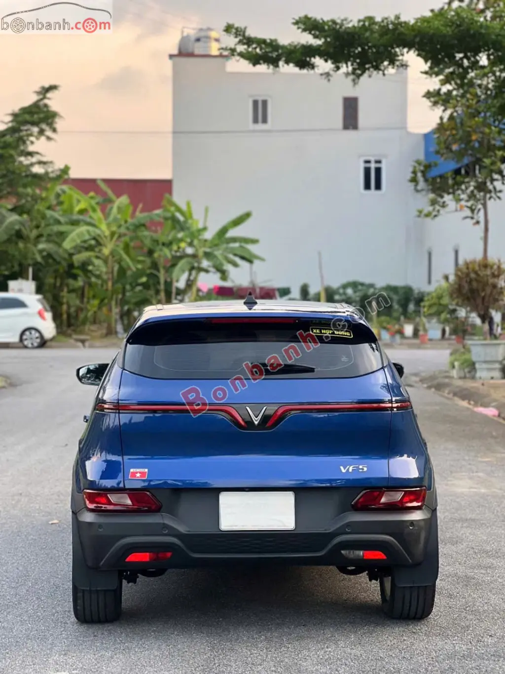 Hình ảnh số 3