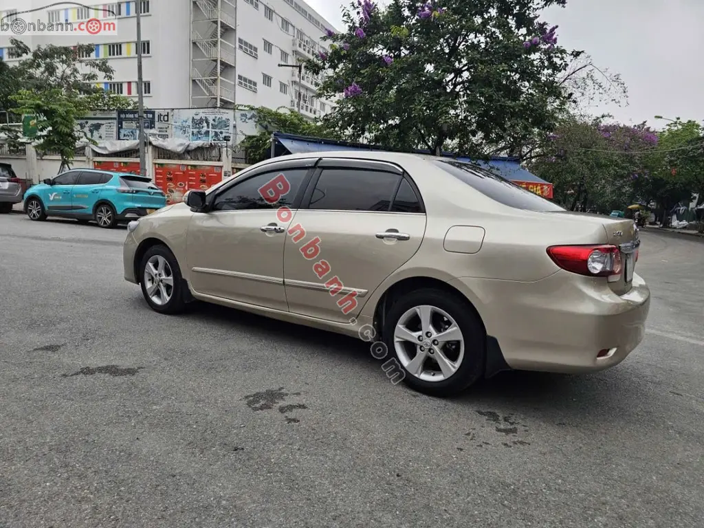 Hình ảnh số 3
