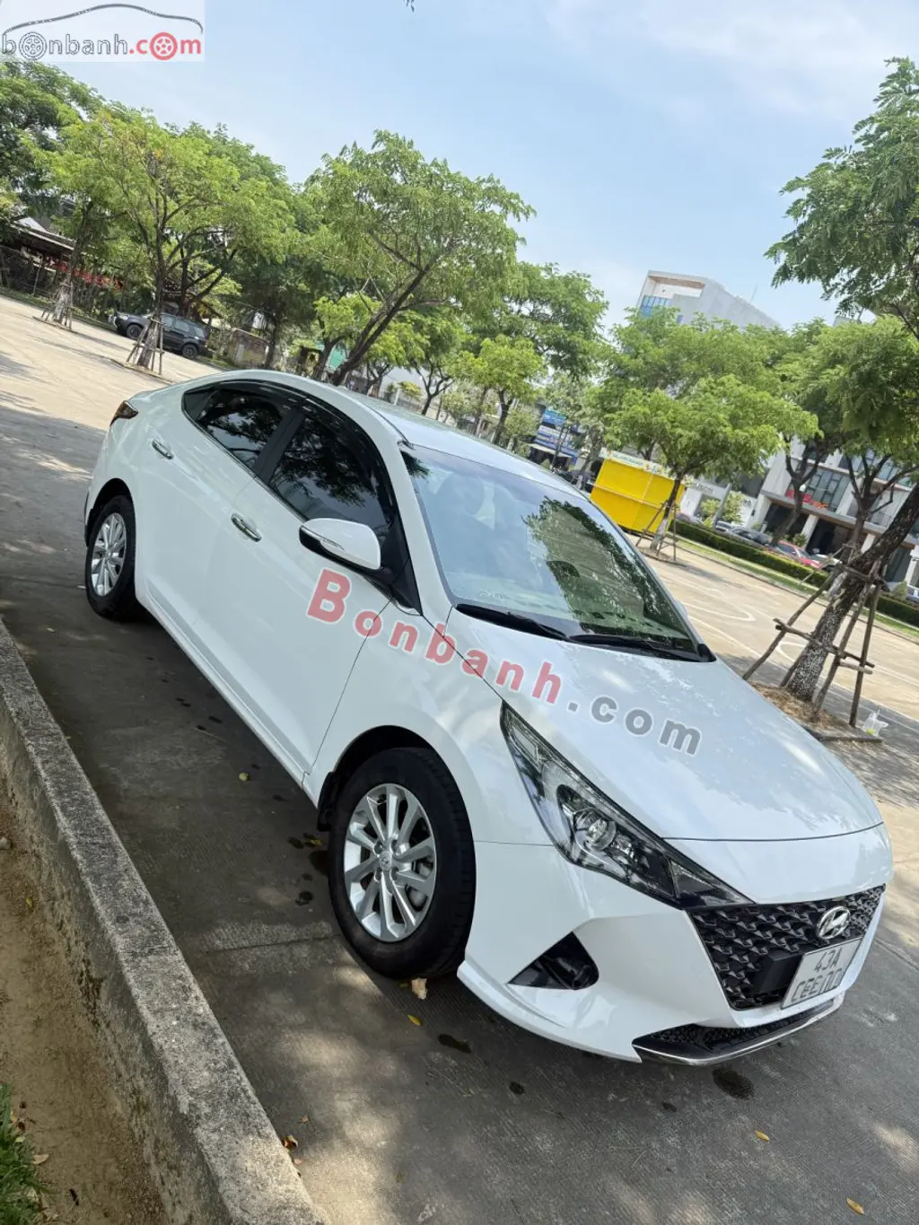 Hình ảnh số 2
