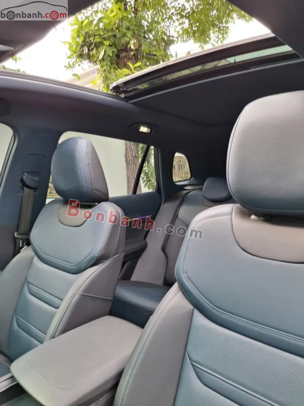 Hình ảnh số 10