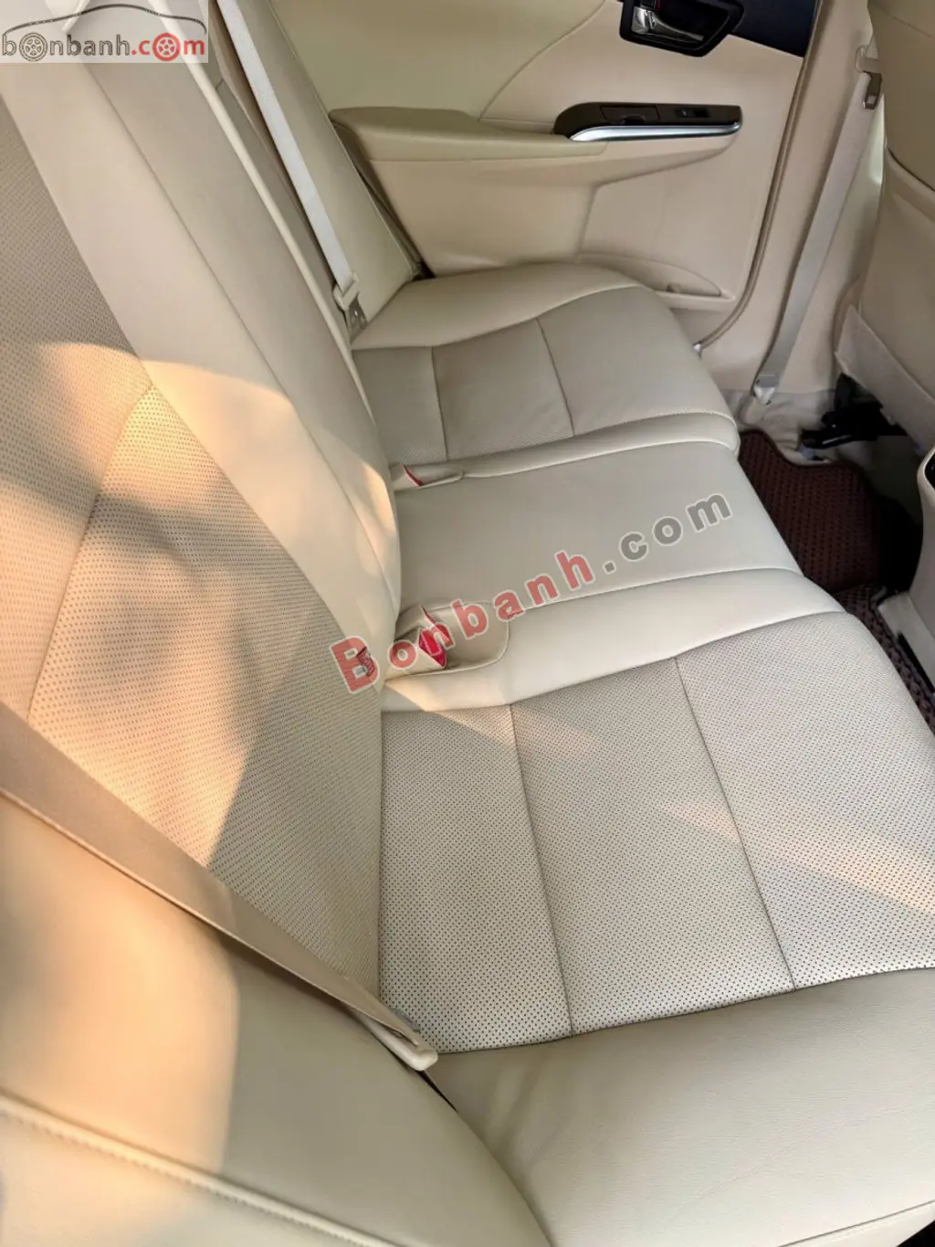 Hình ảnh số 10