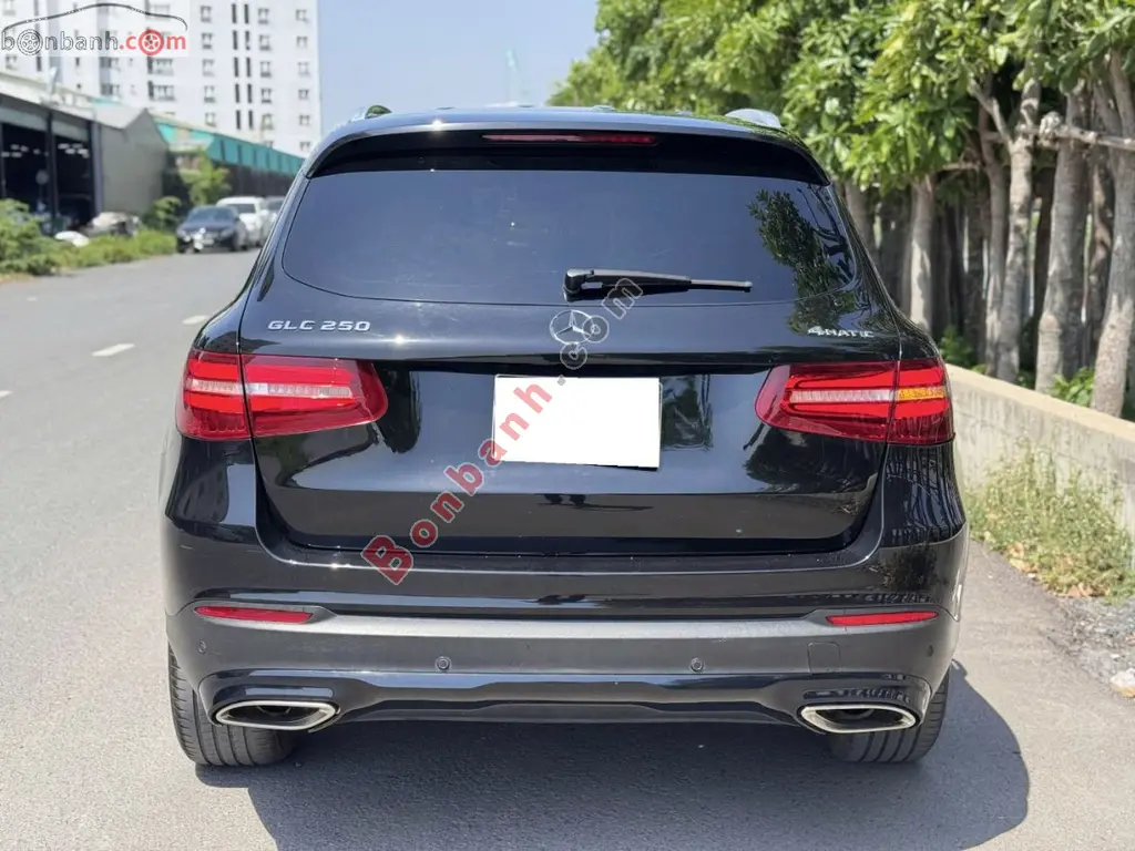 Hình ảnh số 2