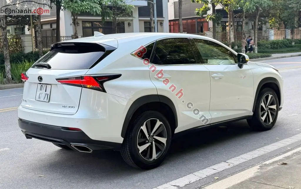 Hình ảnh số 3