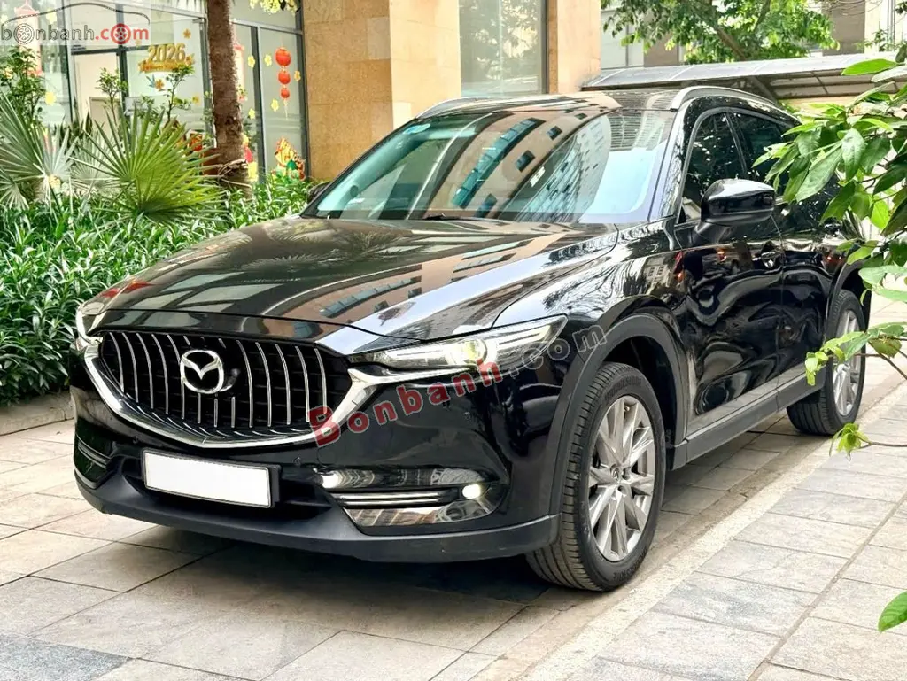 Hình ảnh số 2