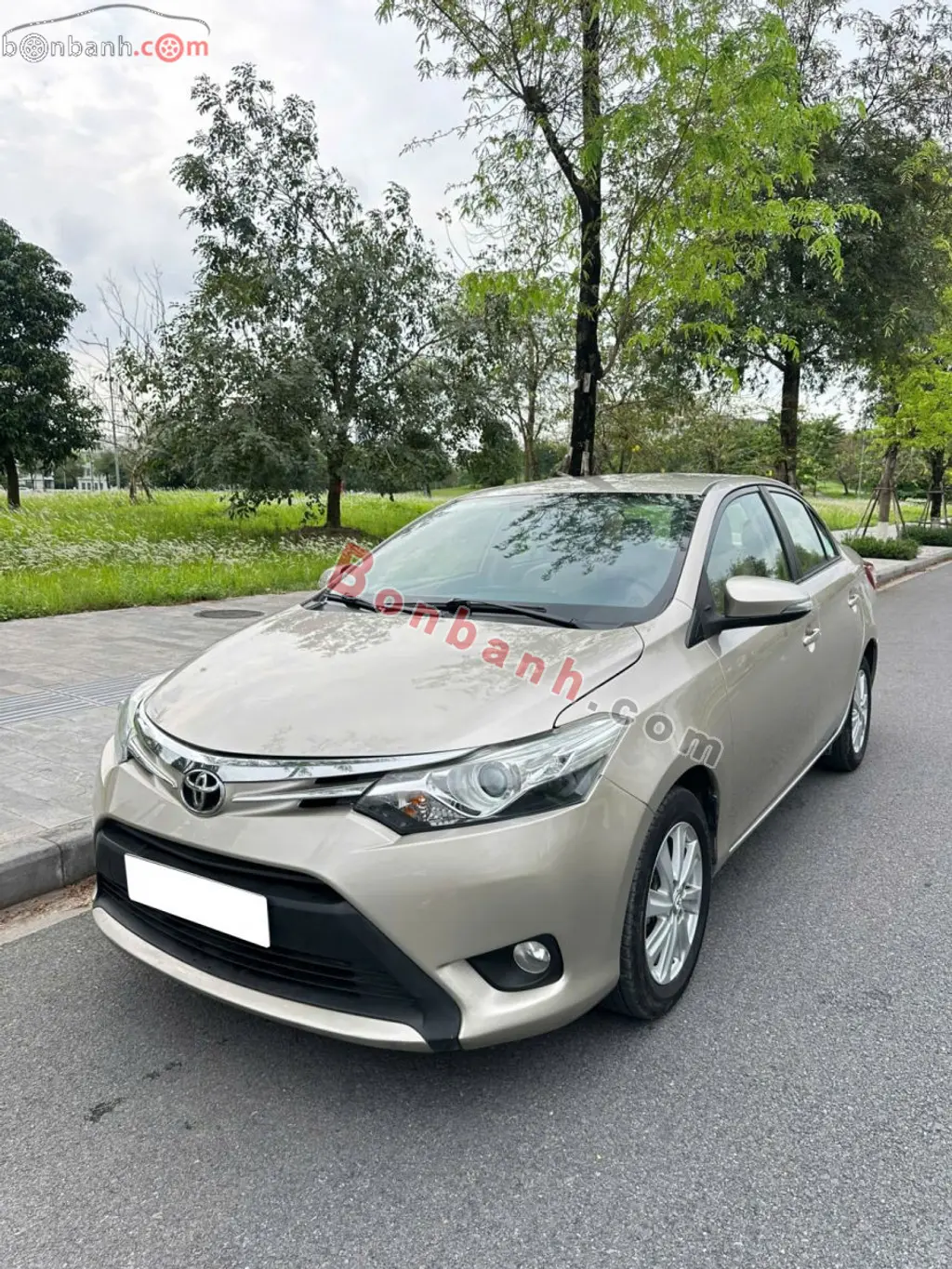 Hình ảnh số 3
