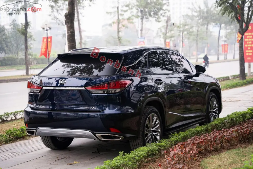 Hình ảnh số 4