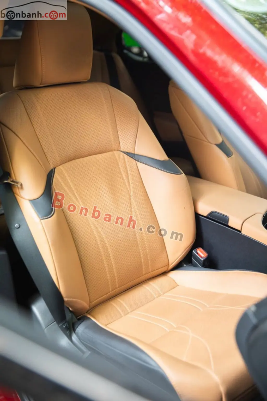 Hình ảnh số 8