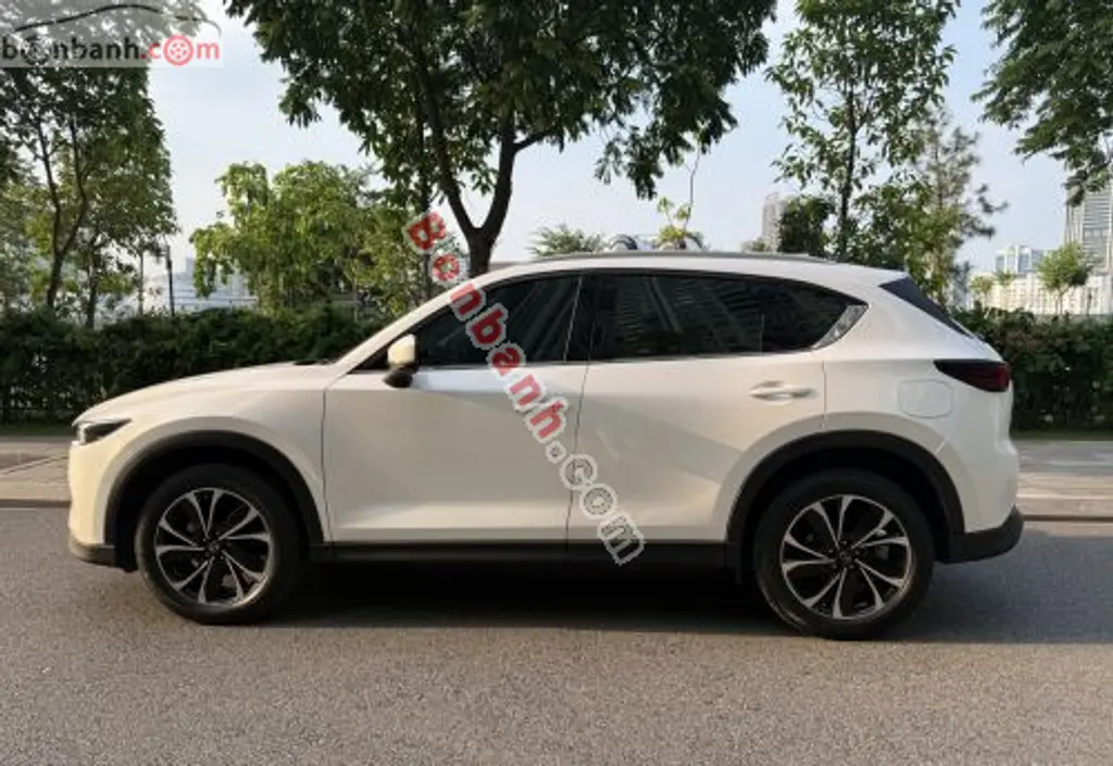 Hình ảnh số 12