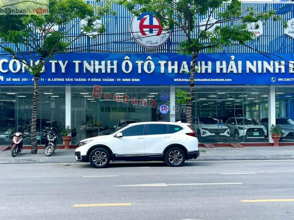 Hình ảnh số 2