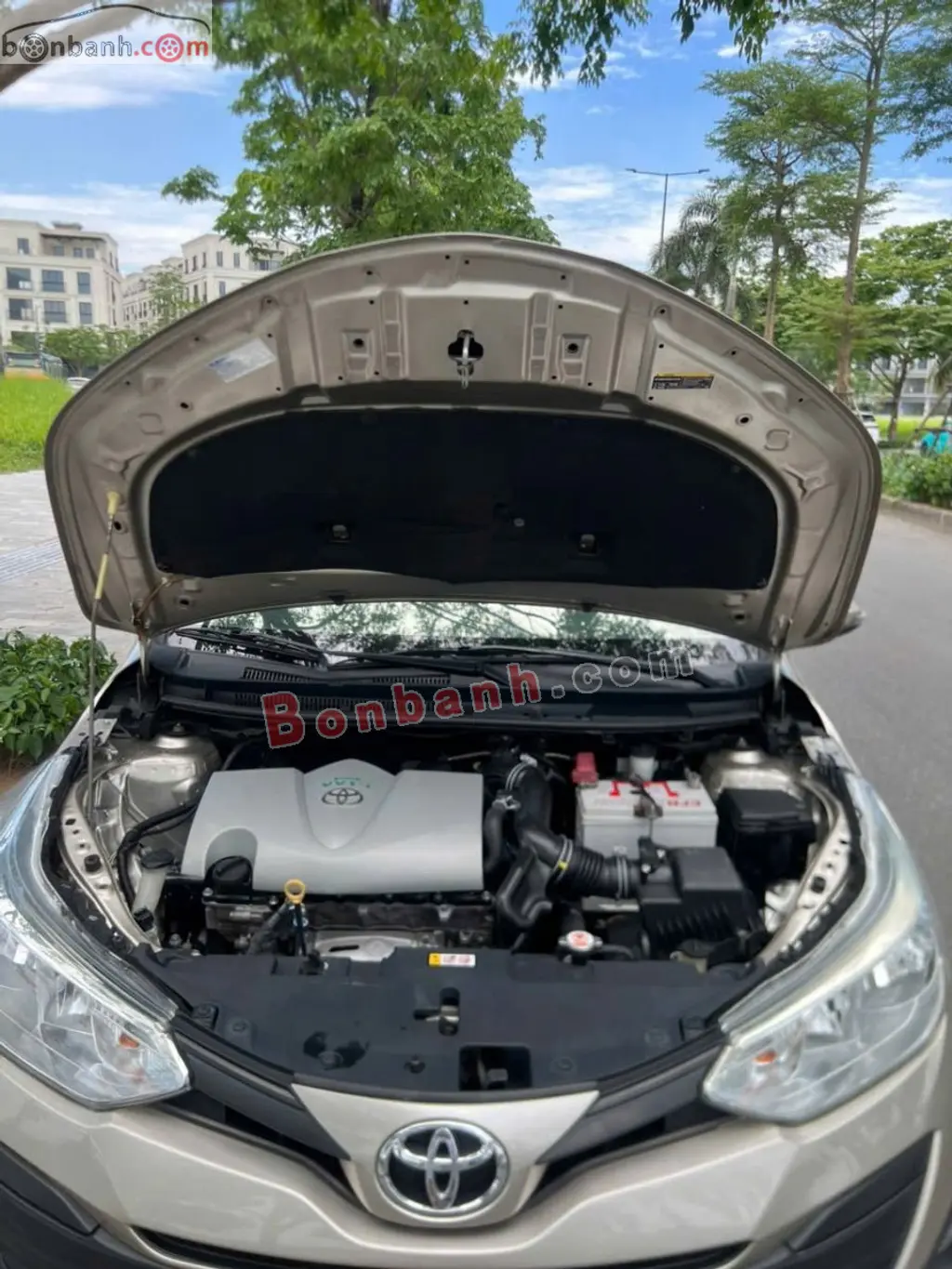 Hình ảnh số 5