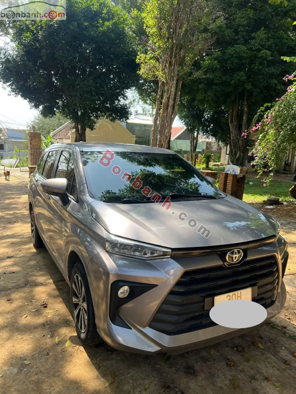 Hình ảnh số 7