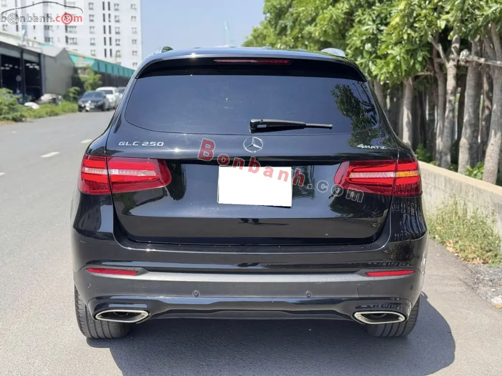 Hình ảnh số 2