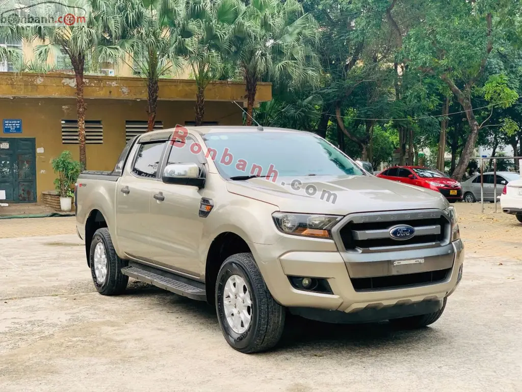Hình ảnh số 2