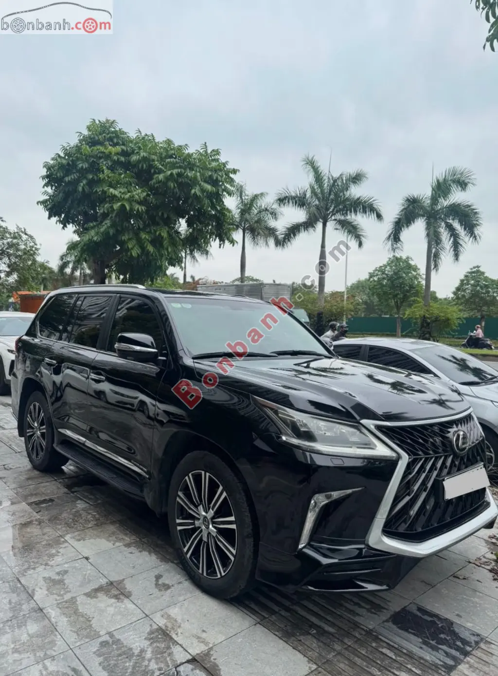 Hình ảnh số 2