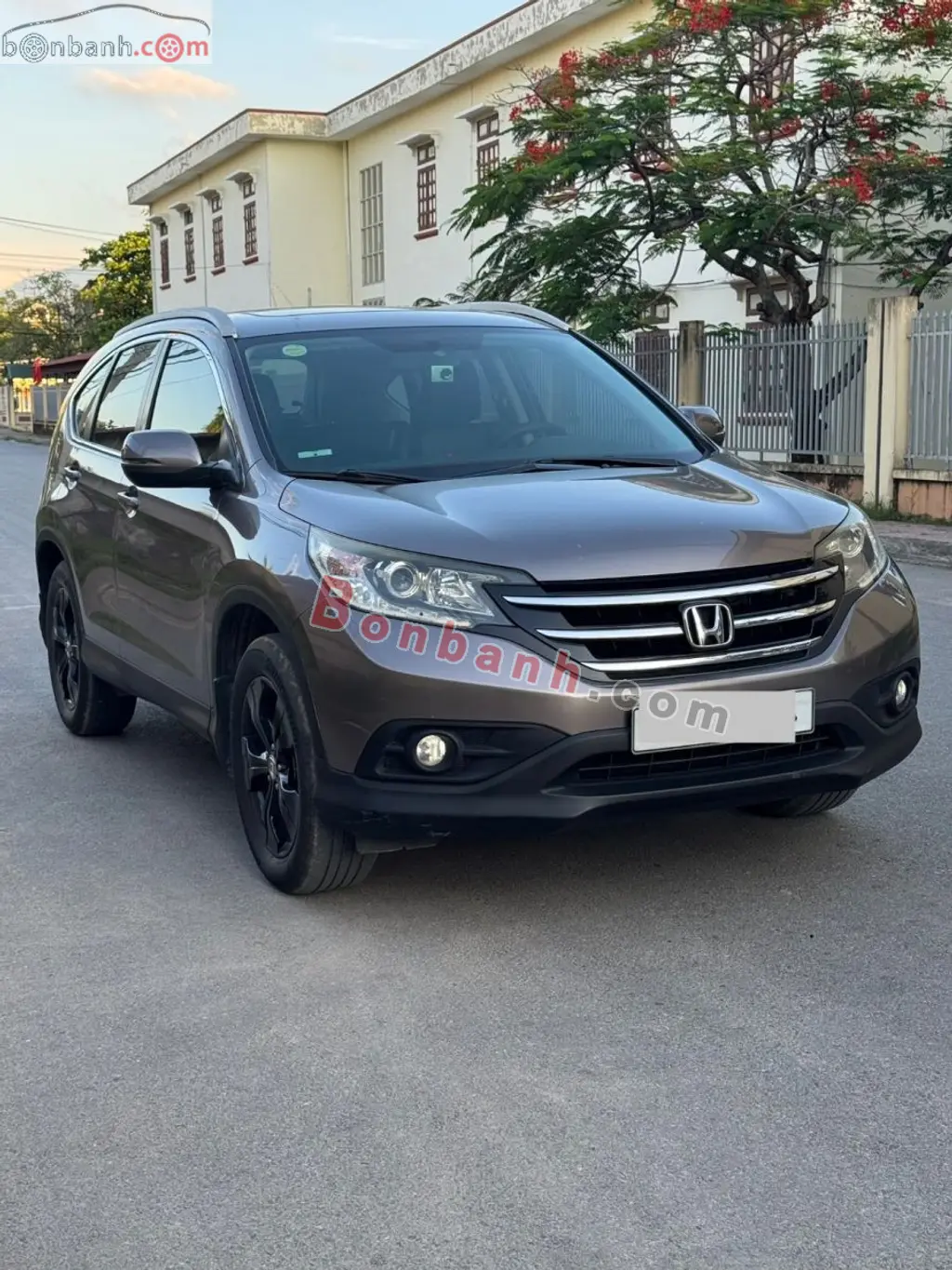 Hình ảnh số 8