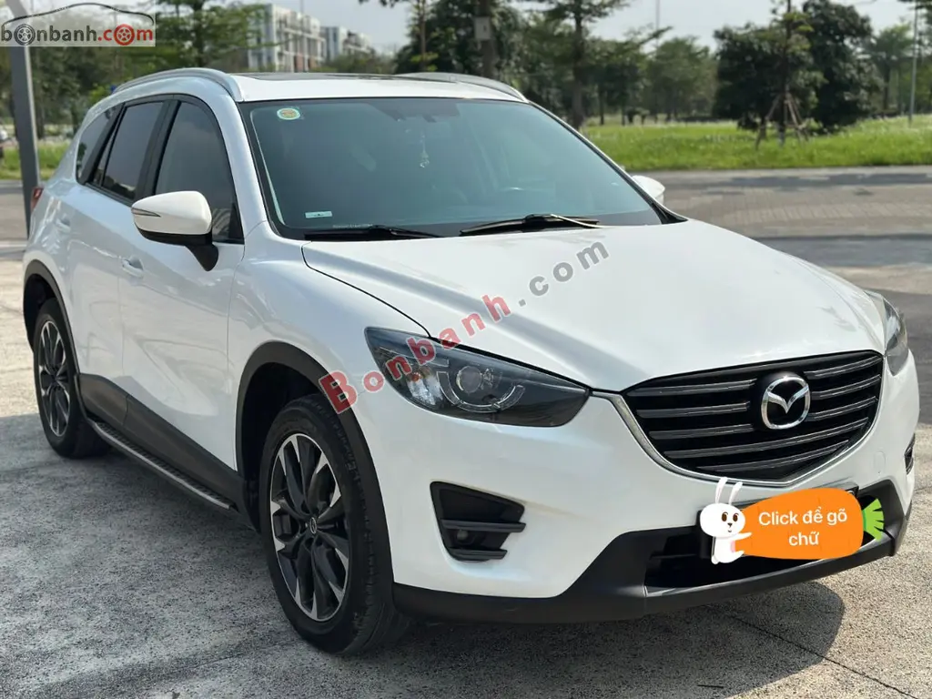Hình ảnh số 2