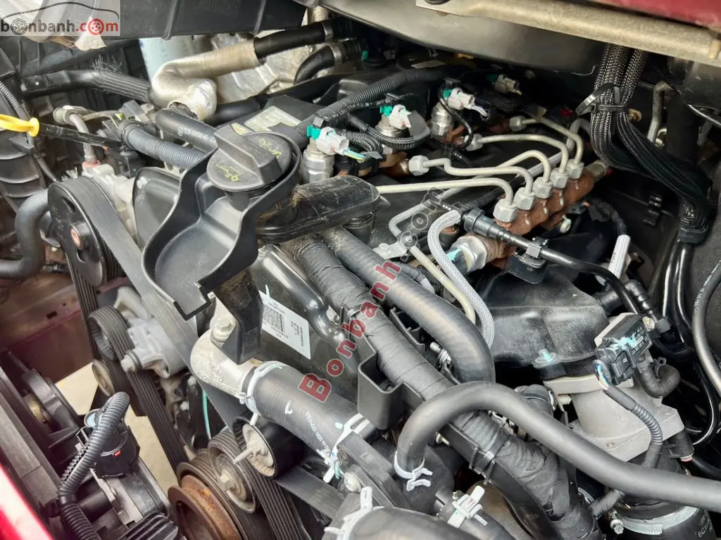Hình ảnh số 10