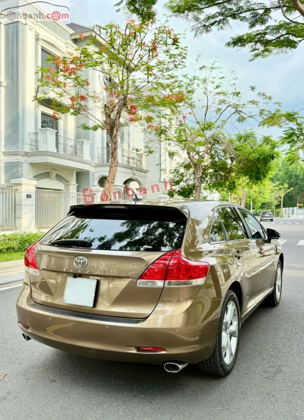 Hình ảnh số 3