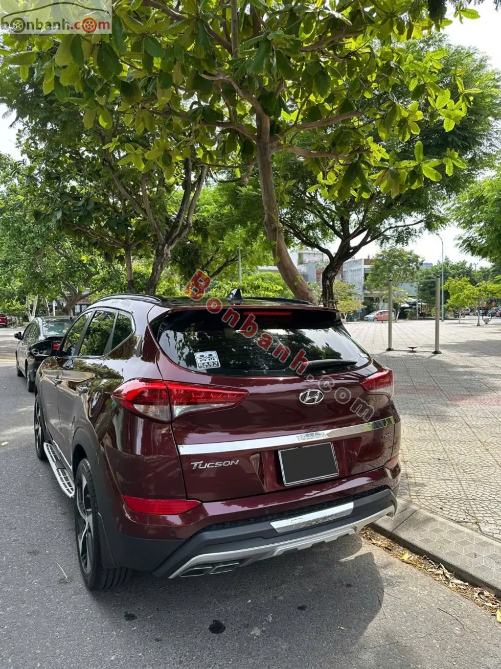 Hình ảnh số 5