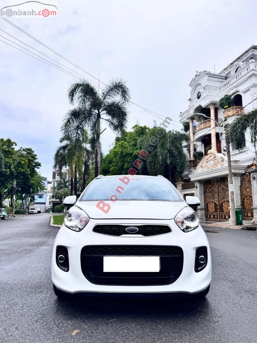 Hình ảnh số 2