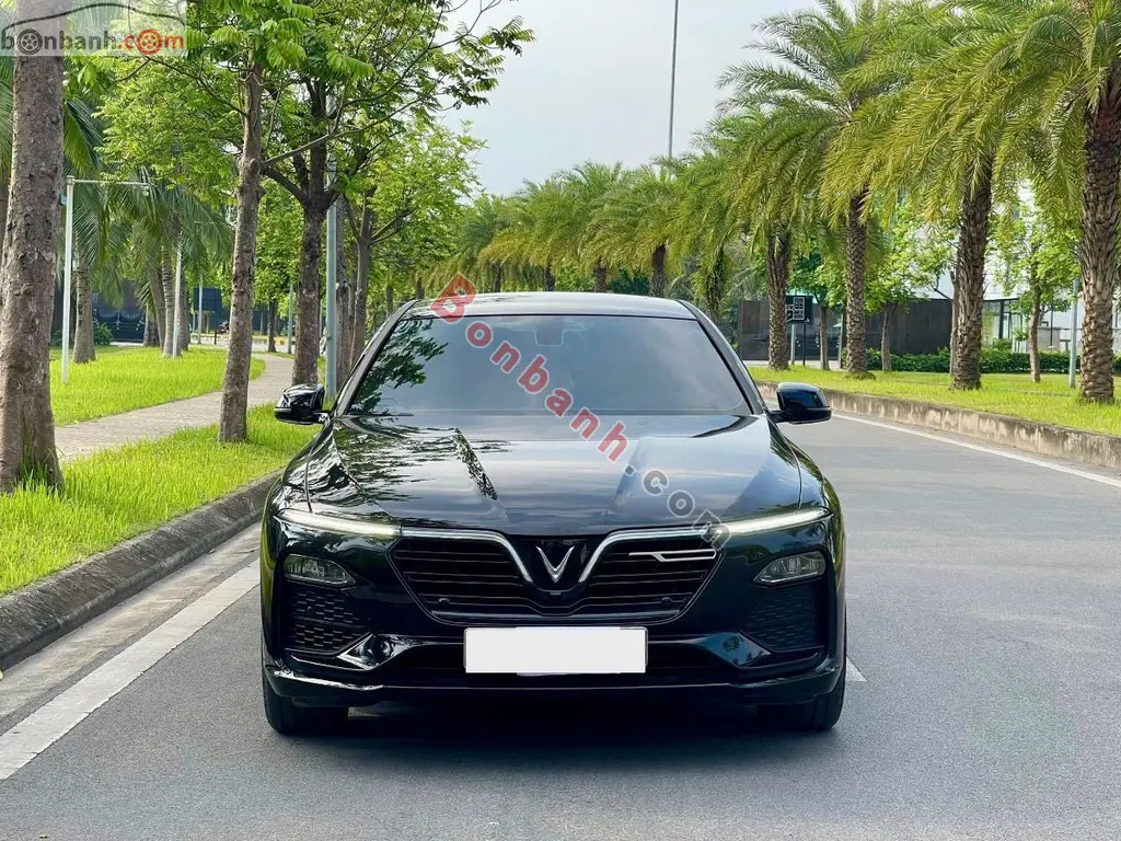 Hình ảnh số 2