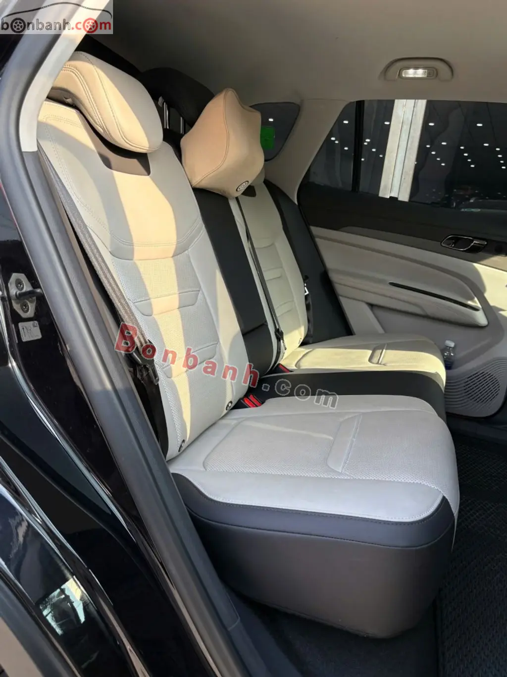 Hình ảnh số 10