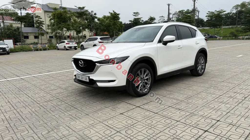 Hình ảnh số 4