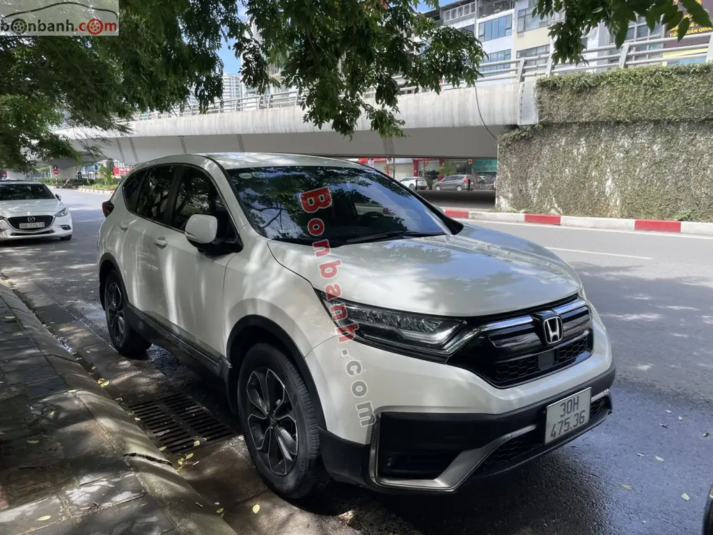 Hình ảnh số 2