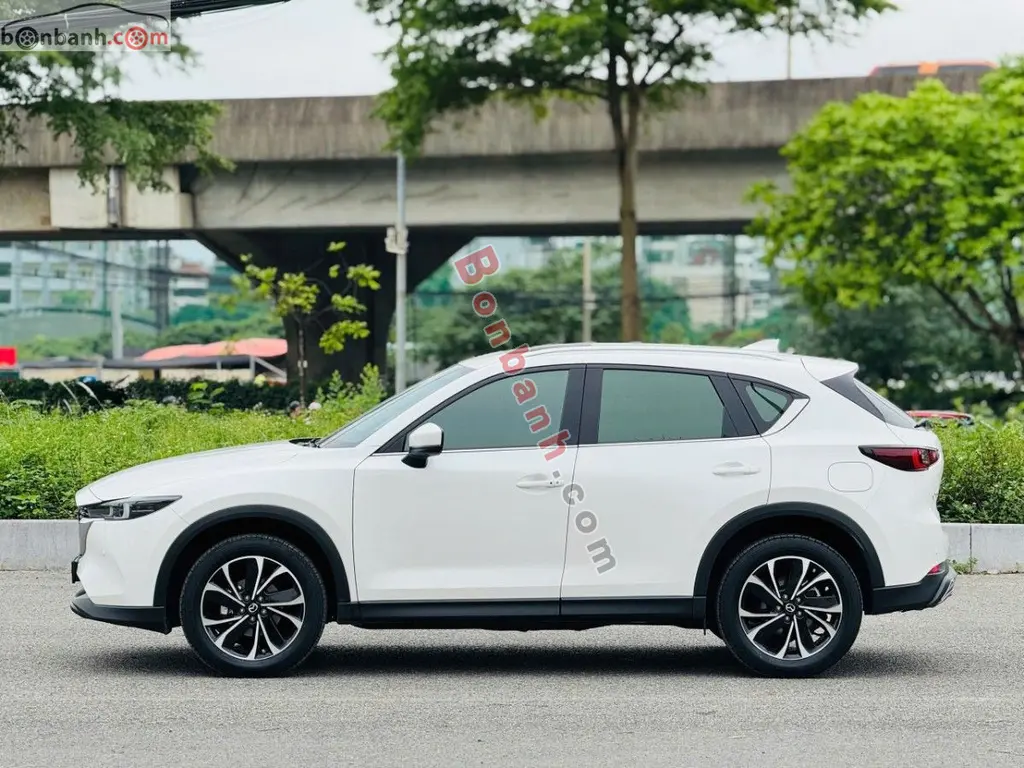 Hình ảnh số 2