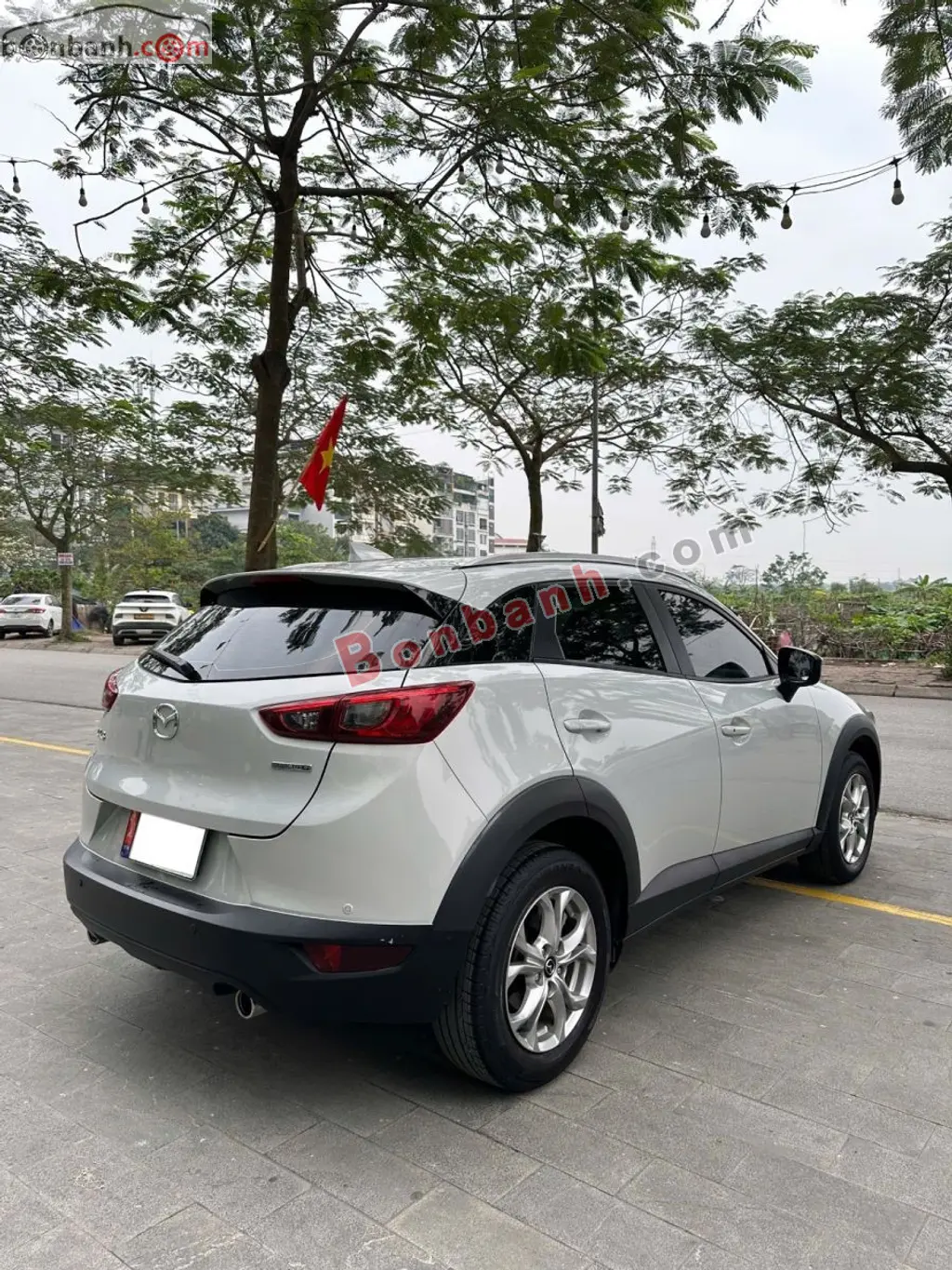 Hình ảnh số 3