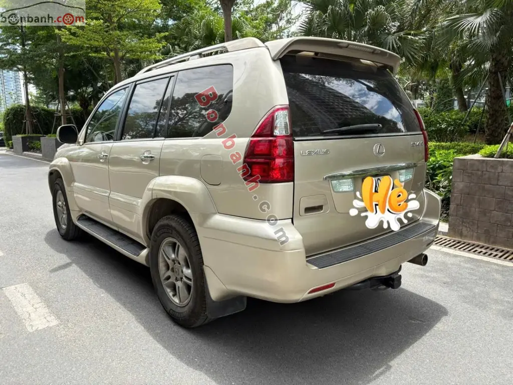 Hình ảnh số 3