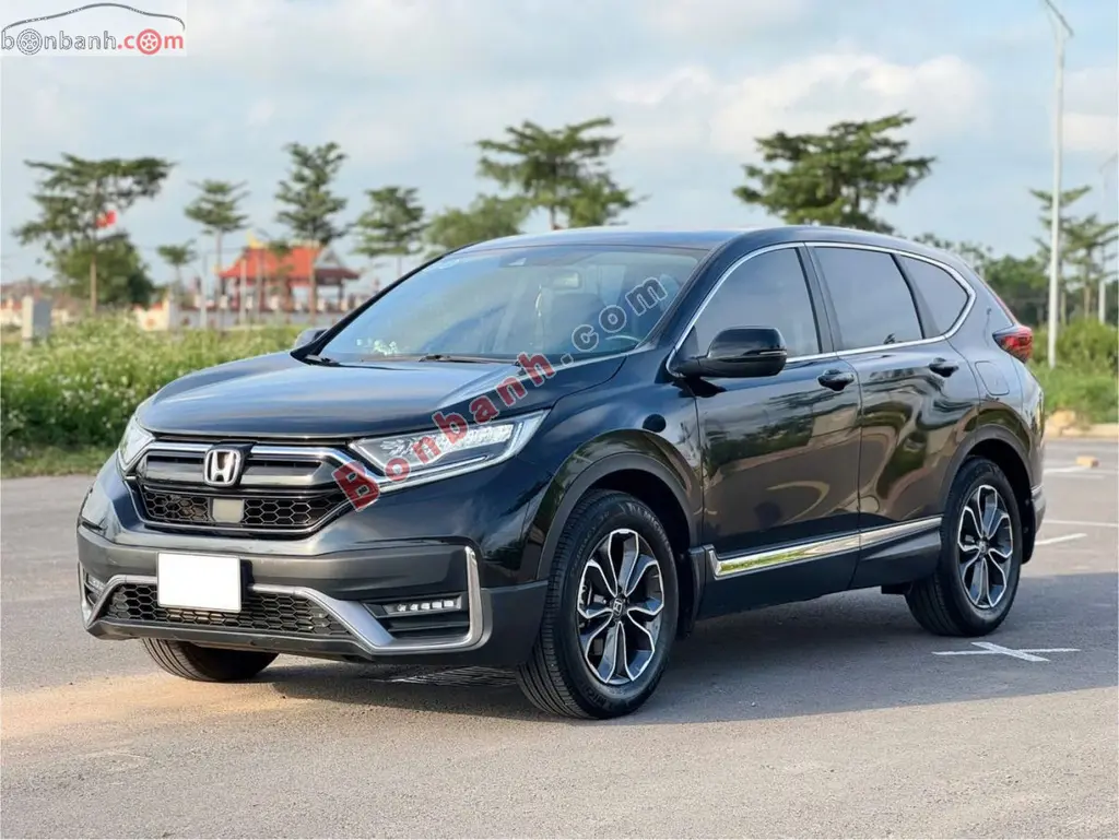 Hình ảnh số 3