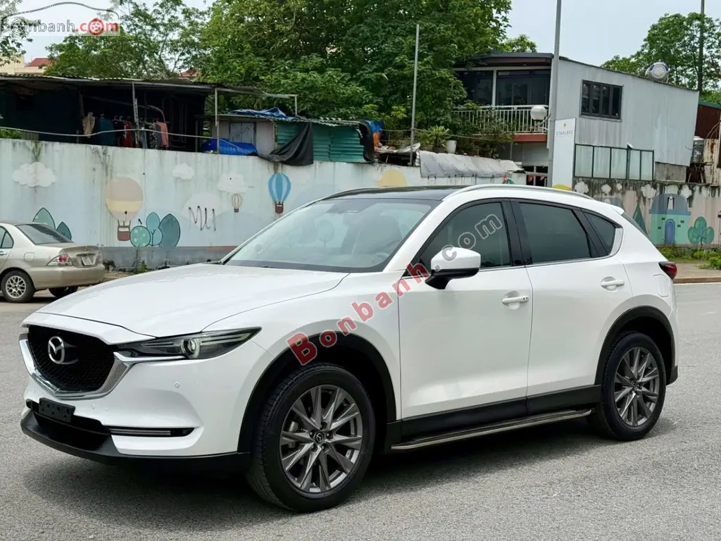 Hình ảnh số 2